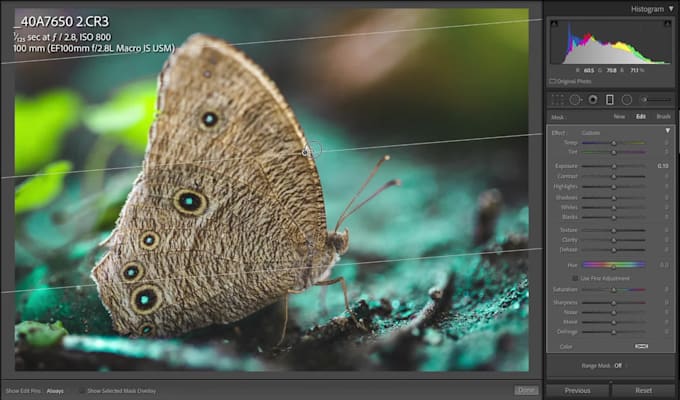 edit and retouch pictures in adobe lightroom