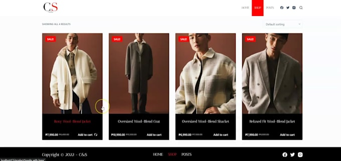develop a wordpress website design with e commerce
