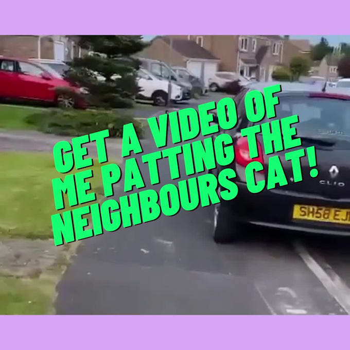 Pat the neighbours cat and send you a video of it by Cksoccercoach Fiverr