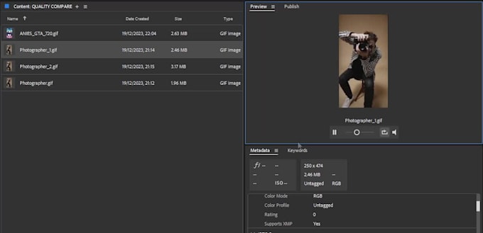 Turn Your Video Into Animated Gifs By Guzmotion Fiverr