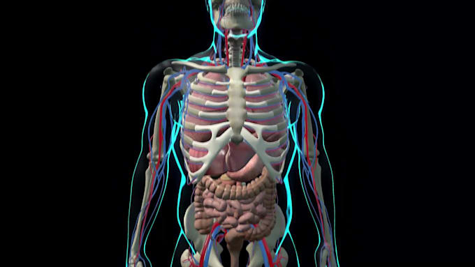 do 3d medical visualisation