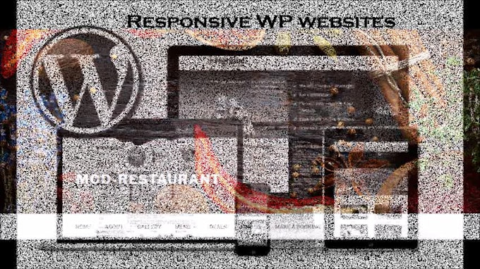 build responsive and clean wordpress website
