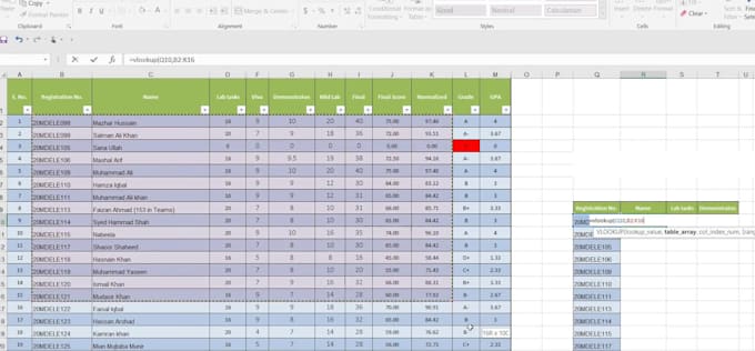 create a pivot table, vlookup formula, and all excel tasks