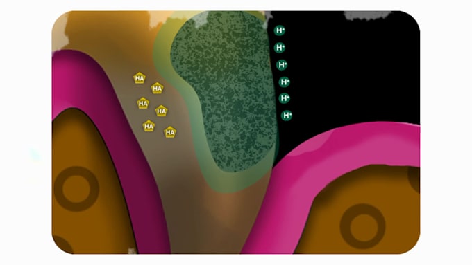 create dental illustrations for research papers, books