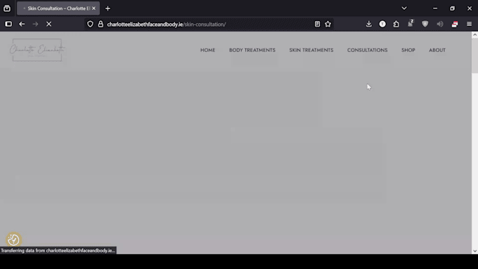 speed up wordpress and fix core web vitals