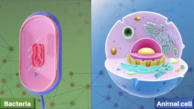 creat powerpoint presentation for biology and medical topics