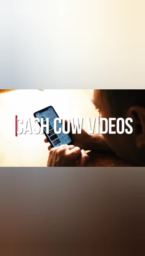 create high quality documentary video editing for youtube facebook within 24 hrs