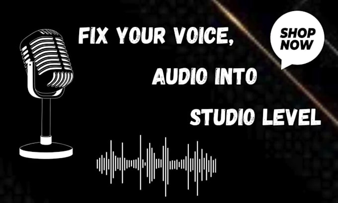 professional audio cleaning and voice cleanup  studio quality