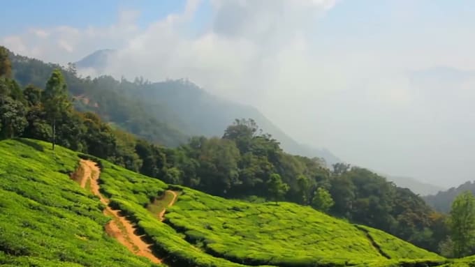 be your guide in exploring india rich culture