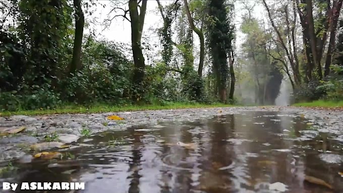 make 10 hours loop nature sound videos