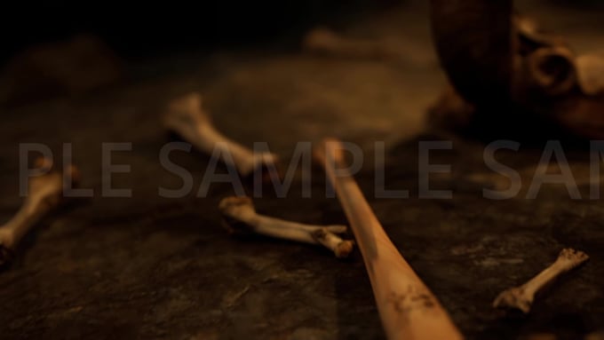 create 3d models,3d cinematics and professional scenes