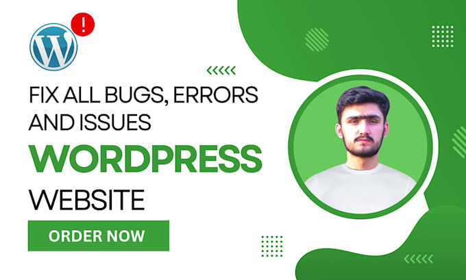 solve wordpress issues and fix errors professionally
