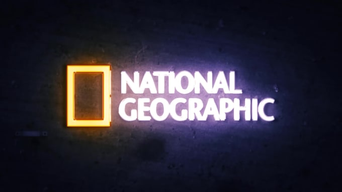 design custom 4k neon logo animation neon light sign, neon intro video for you
