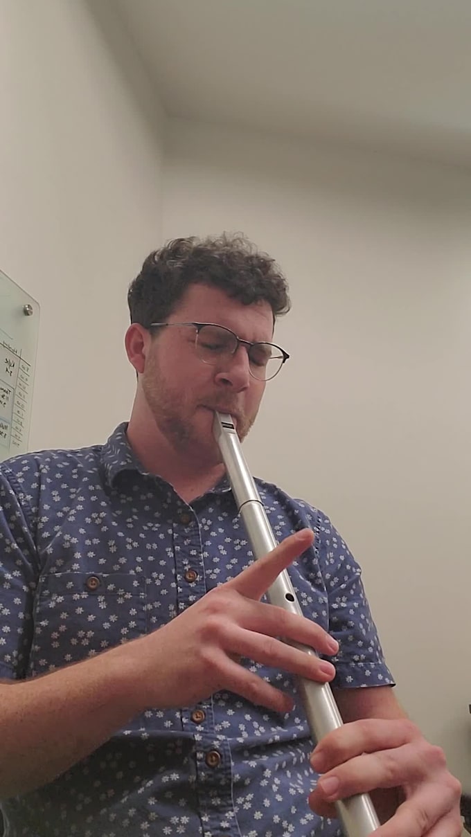 Record tin whistle and low whistle tracks for your project by