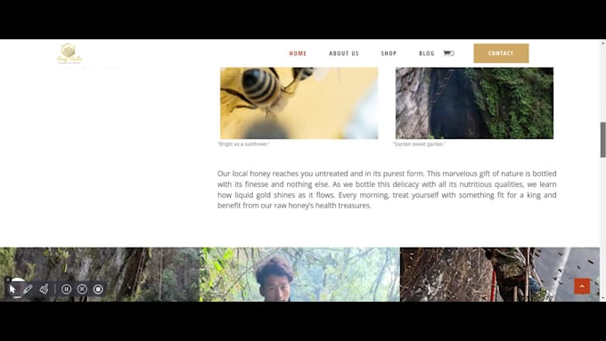 perform web development web design on wordpress php