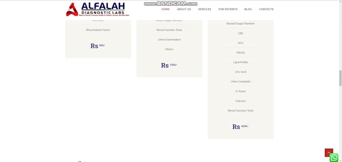 create recreate wordpress website using elementor