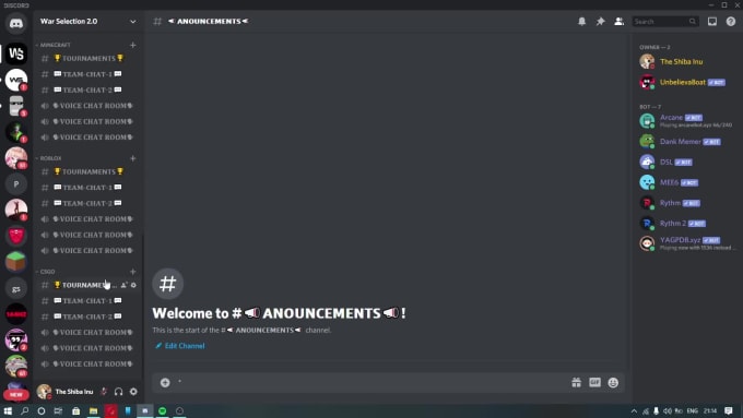 Make a professional discord server with bots and special roles by ...