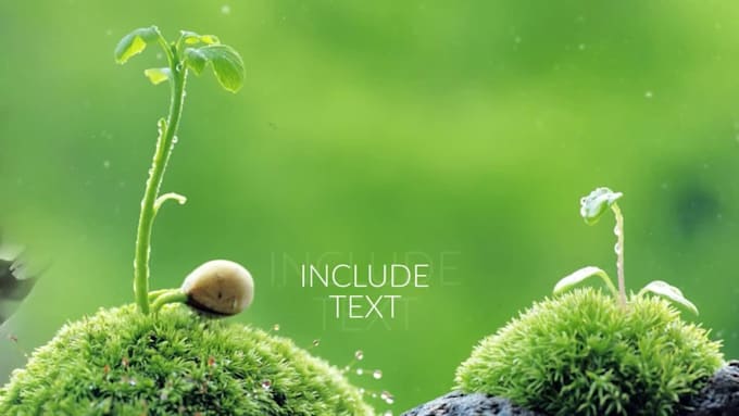 Create unique photo slideshow video with your photos, videos by ...