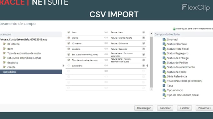 do netsuite administration and consultation works
