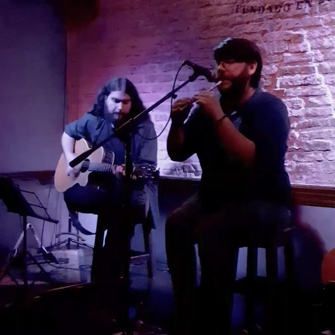 record the best pro tin whistle for you