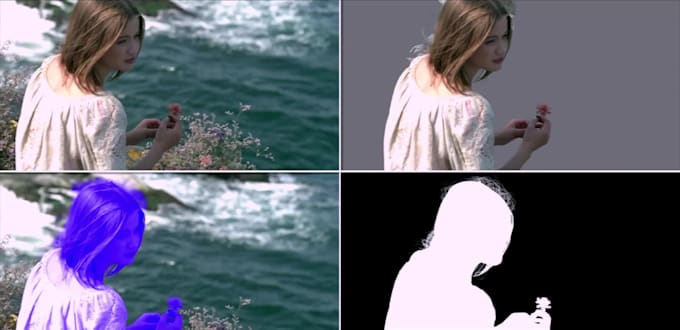 do professional rotoscopy for your videos