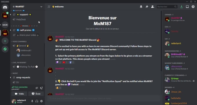 Make a professional gaming discord server by Mxm187_ | Fiverr