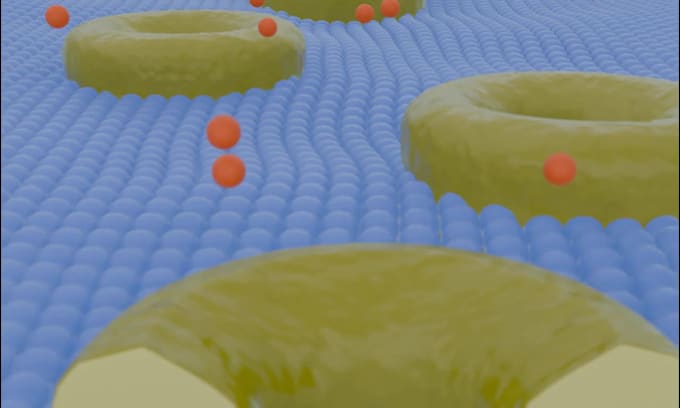 create your medical animation, explainer or illustration