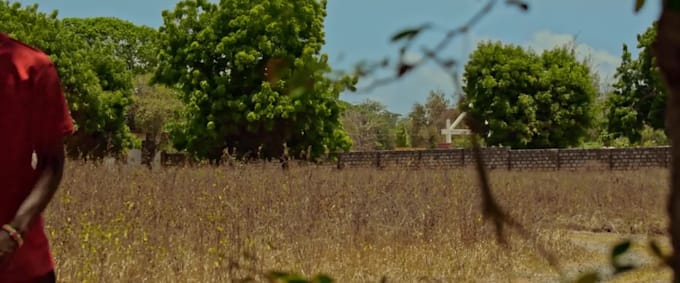 edit your video and color grade