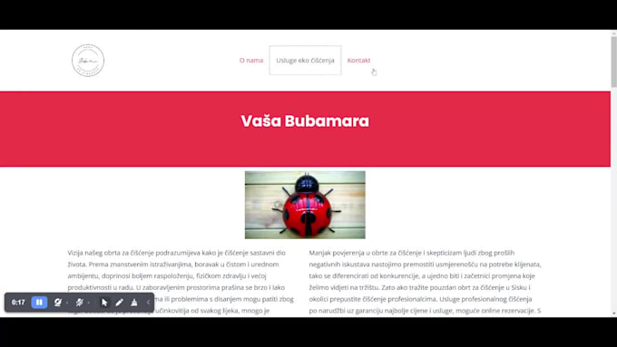 create and design wordpress website