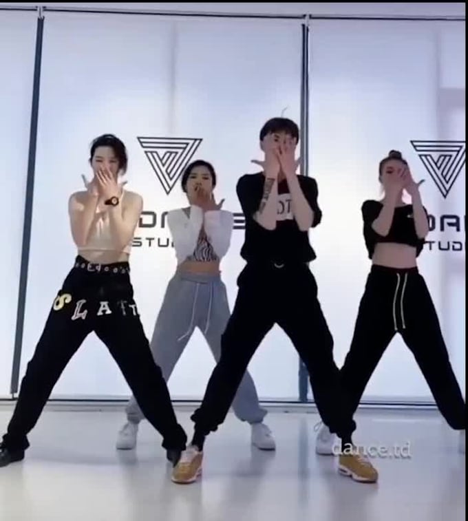 create tiktok group dance challenge, tik tok dance video, promotion to 11k pple