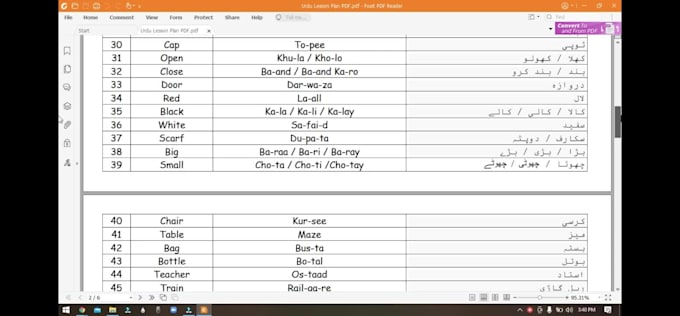 help you learn the urdu language on zoom