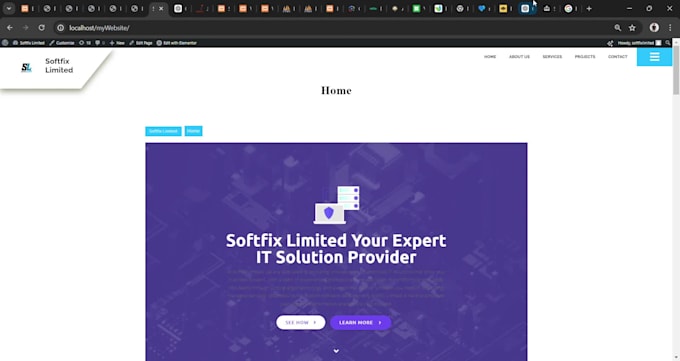 build wordpress responsive ecommerce website