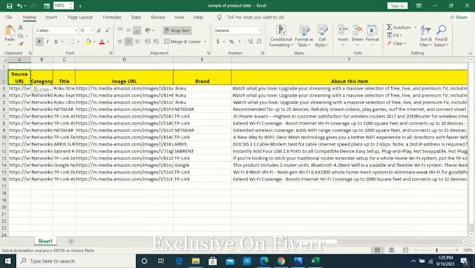 do fastest data entry and web research