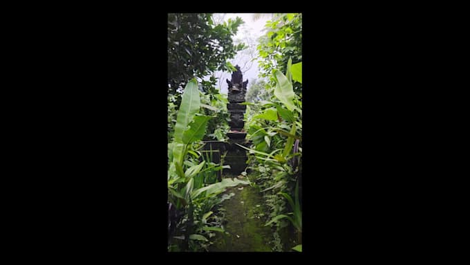 make content in bali