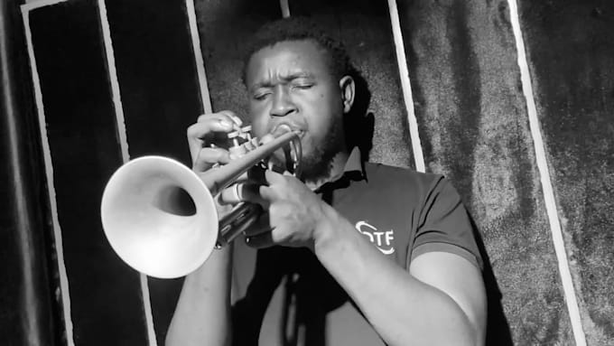 record professional trumpet, sax solo, horns for your track