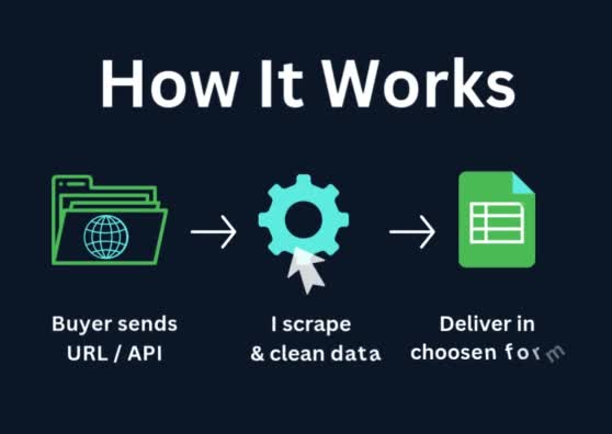 provide professional web scraping and API data extraction services