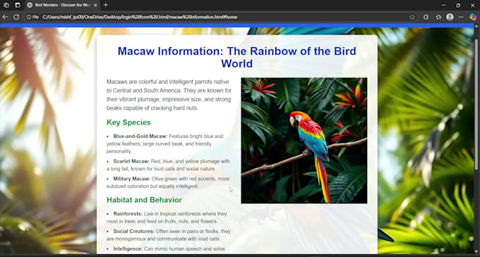 create informative website design