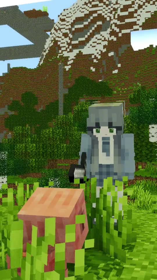 create custom minecraft 3d animations for your projects