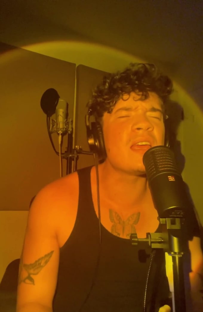 be your pro male pop rnb or edm singer