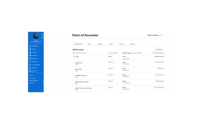 do professional accounting services for quickbooks, xero getting accurate result