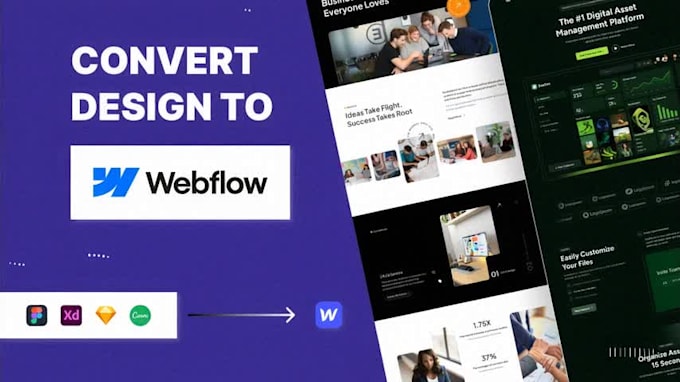 design and develop a modern animated webflow website from figma or sketch or xd