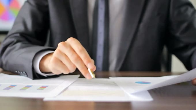 provide financial analysis and consulting services