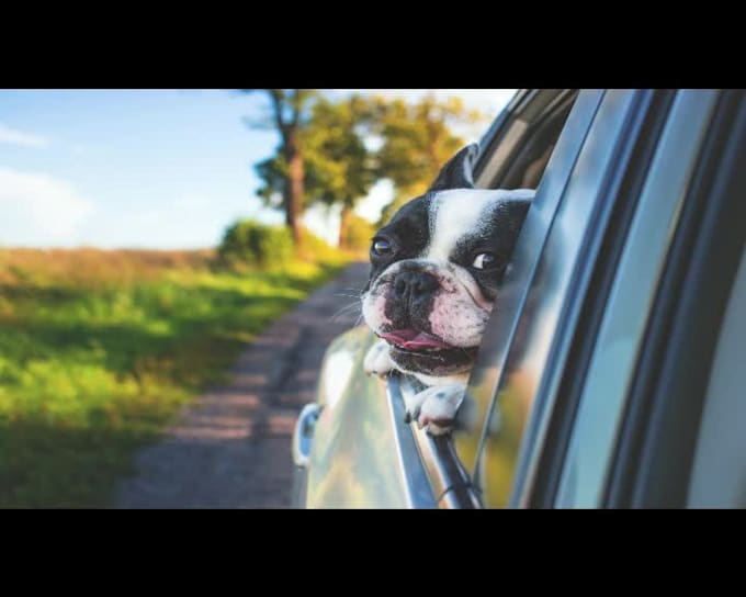 Review! I will do professional photo slideshow and video editing  for $5