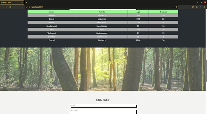 create a web application for you