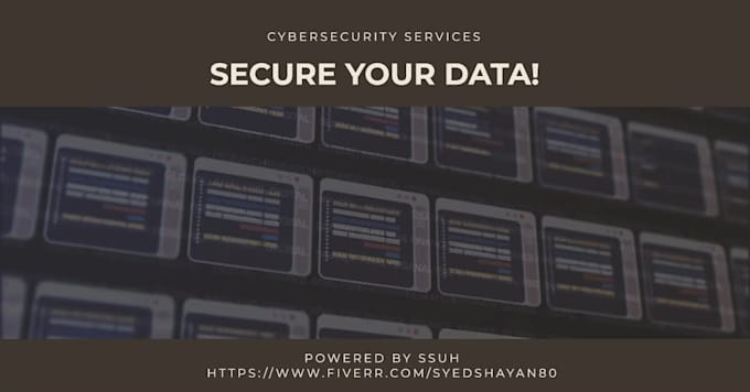 do security assessments and penetration testing