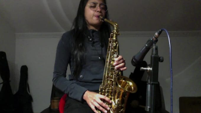 record professional saxophone for your song or beat
