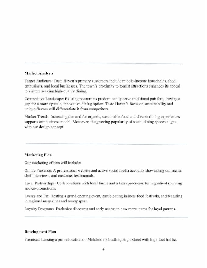 write a complete business plan for your start up and middle level company