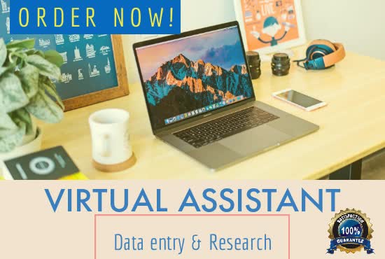 be your virtual assistant for data entry and  research