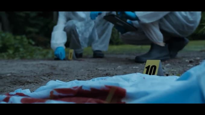 Big Deals! I will create HD book trailer  for $15