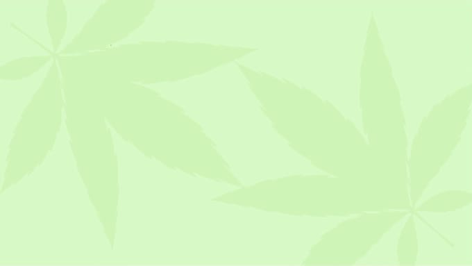 make a 2d explainer animation for your business